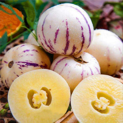 Pepino Dulce Melon Fruit Seeds for Planting – Heirloom Non-GMO Garden Seeds