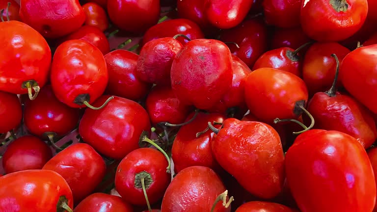Pepo fruit seeds for planting in a home garden, with seed and fruit details to be confirmed for the exact variety.