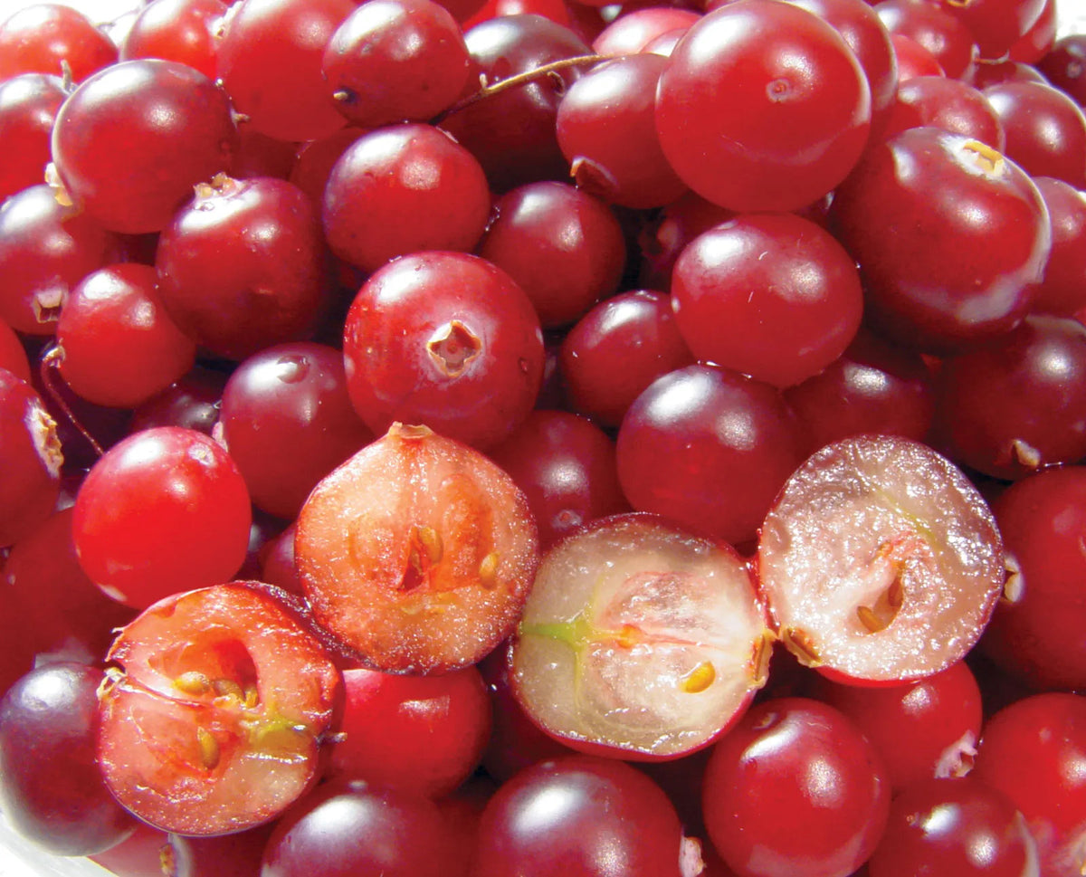 Pepo fruit seeds for planting in a home garden, with seed and fruit details to be confirmed for the exact variety.