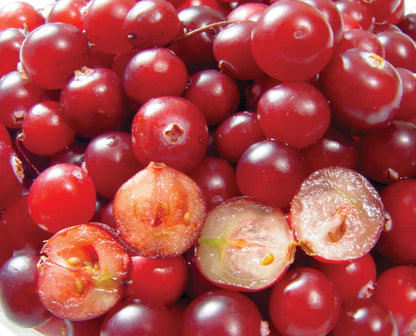Pepo fruit seeds for planting in a home garden, with seed and fruit details to be confirmed for the exact variety.