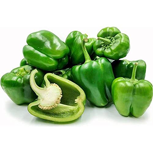 Pepper Vegetable Seeds for Planting – Heirloom Non-GMO Garden Seeds