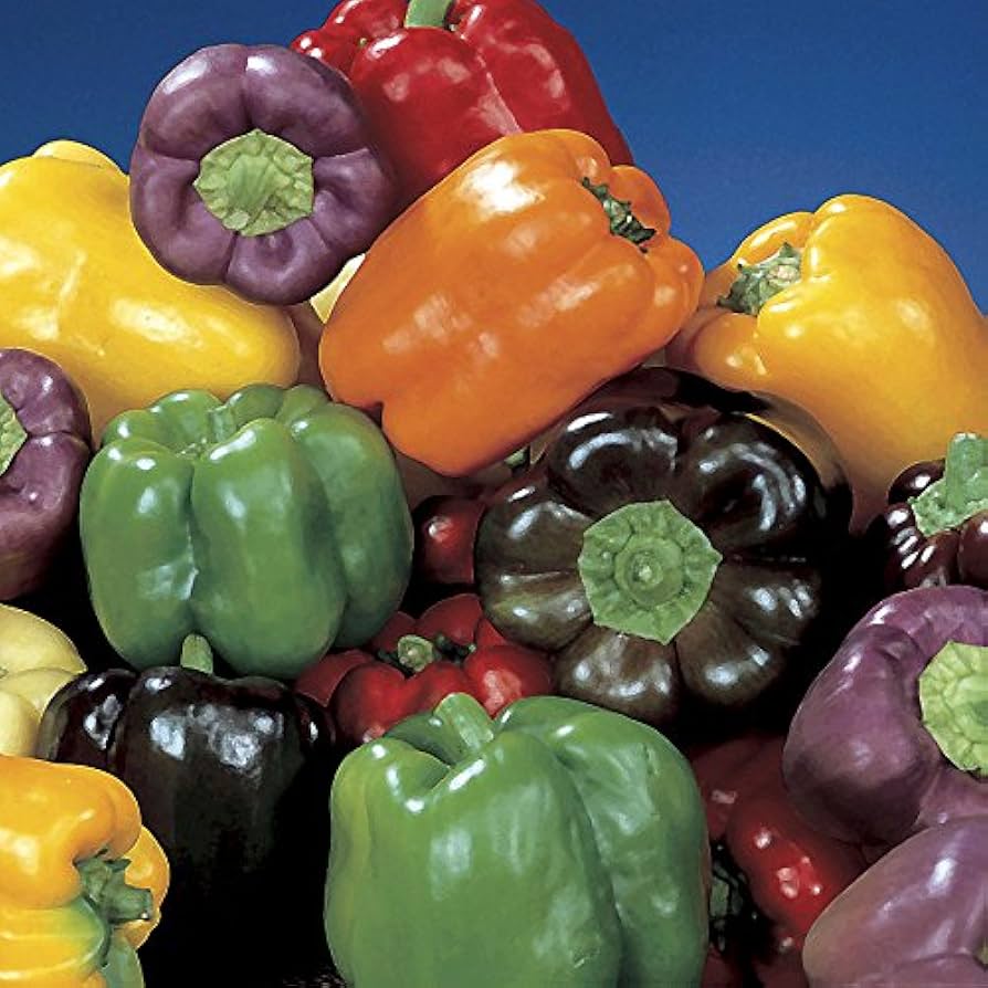 Mixed Pepper Seeds