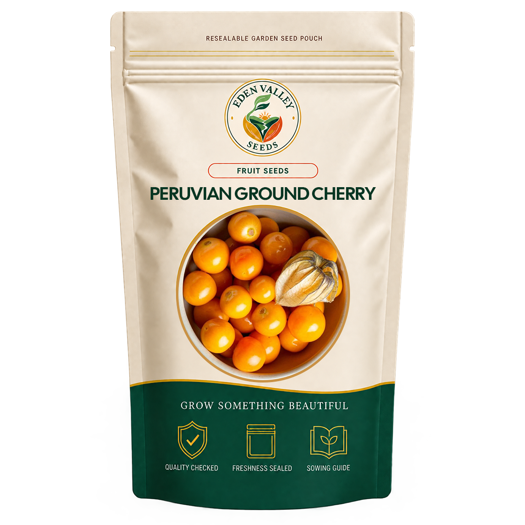 Peruvian Ground Cherry Seeds for home gardens