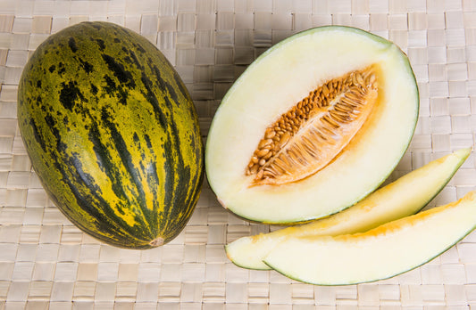 piel de sapo melon seeds