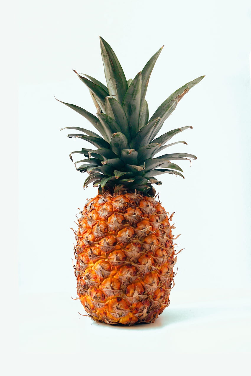 orange pineapple seeds