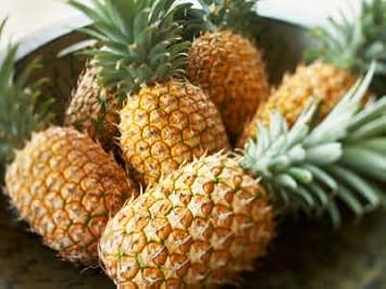 Pineapple Fruit Seeds for Planting – Heirloom Non-GMO Garden Seeds
