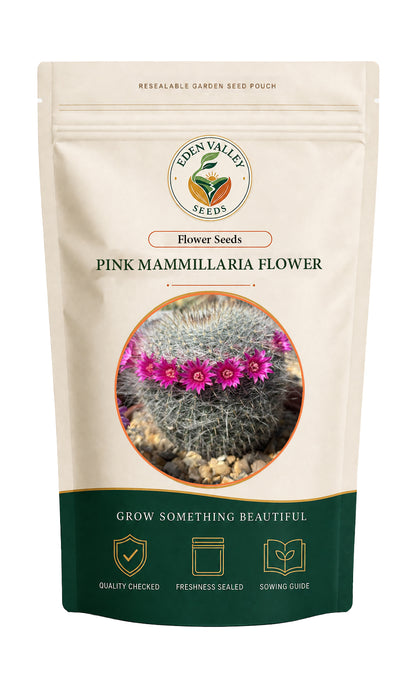Pink Mammillaria Flower Seeds for home gardens
