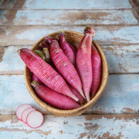 Pink radish seeds for planting with fresh pink radishes growing in a home vegetable garden