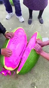 Pink Watermelon Fruit Seeds for Planting – Heirloom Non-GMO Garden Seeds