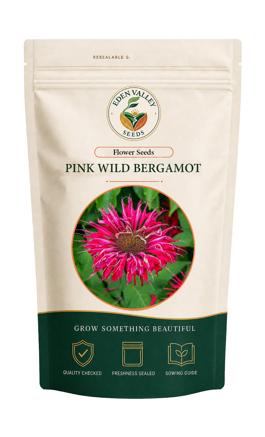Pink Wild Bergamot Monarda Fistulosa Flower Seeds for planting