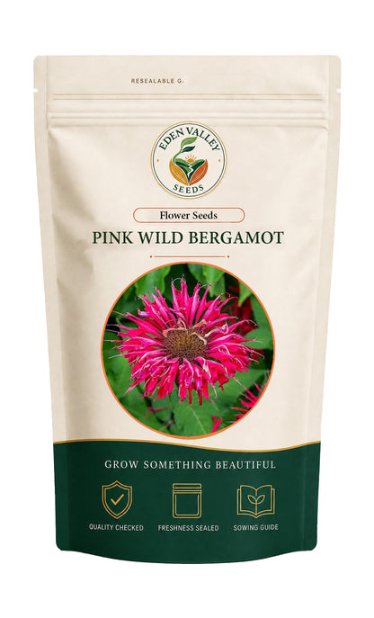 Pink Wild Bergamot Monarda Fistulosa Flower Seeds for planting