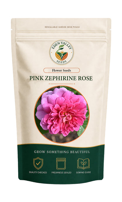 Pink Zephirine Rose Flower Seeds for planting