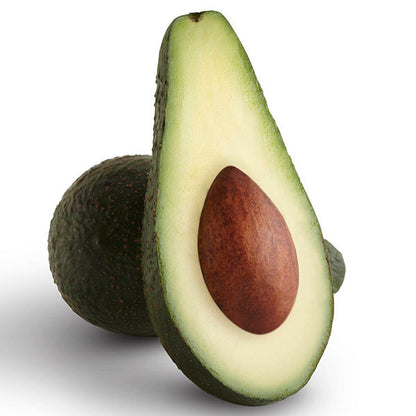 Pinkerton avocado fruit seeds for planting and growing an evergreen avocado tree at home.