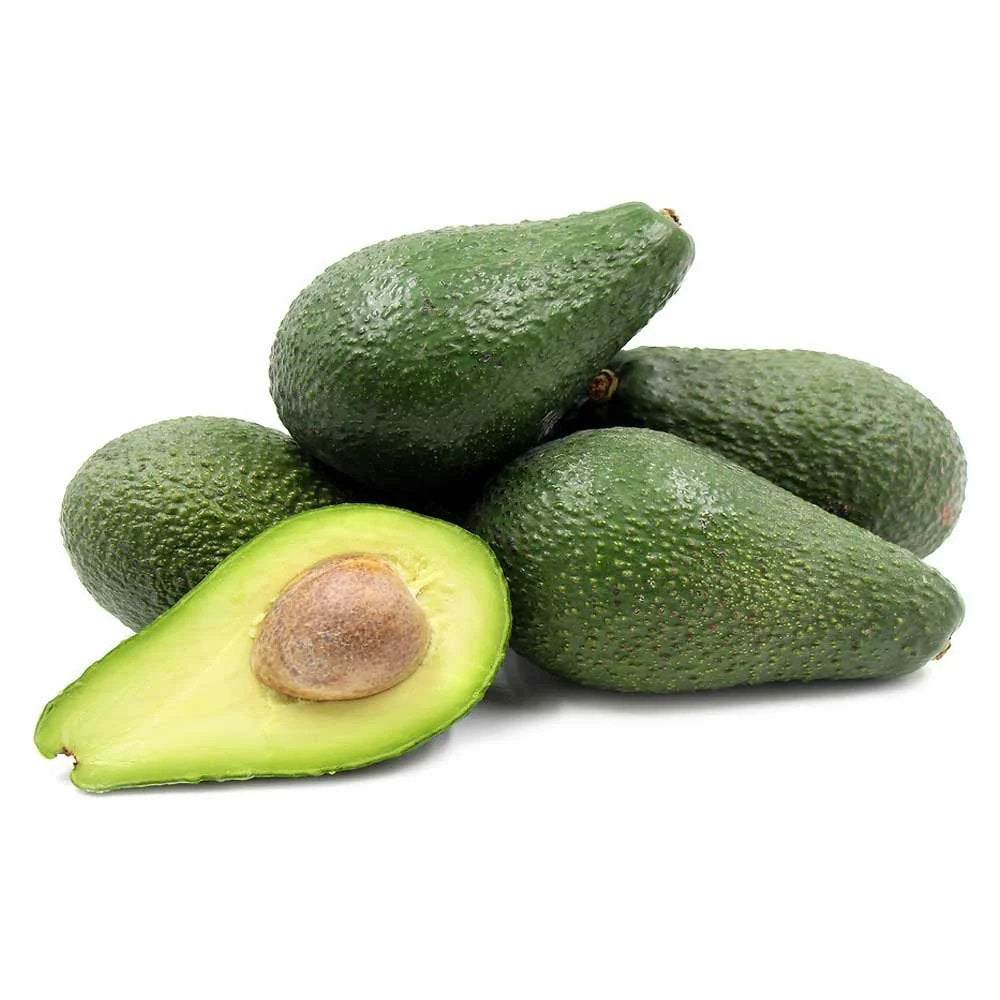 Pinkerton avocado fruit seeds for planting and growing an evergreen avocado tree at home.