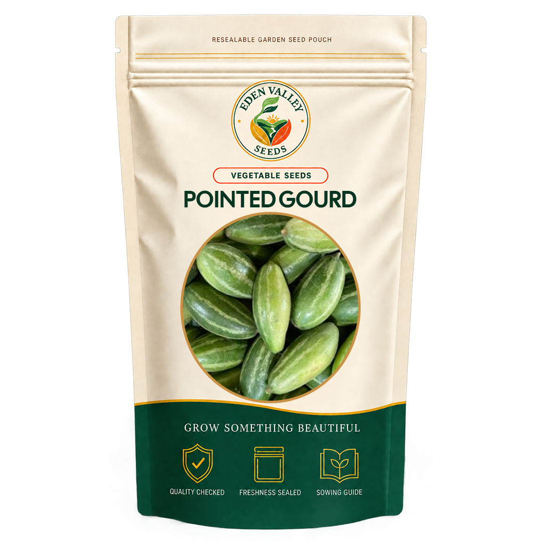 Pointed Gourd Vegetable Seeds for growing fresh green gourds at home