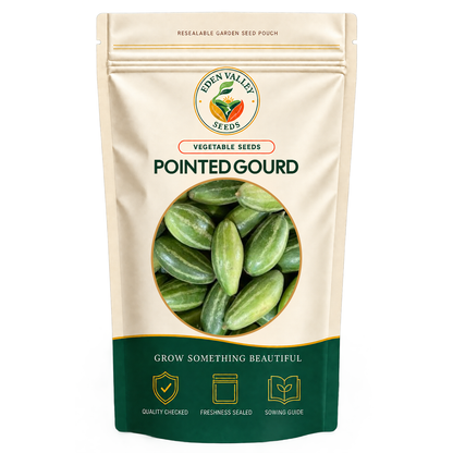 Pointed Gourd Vegetable Seeds for growing fresh green gourds at home