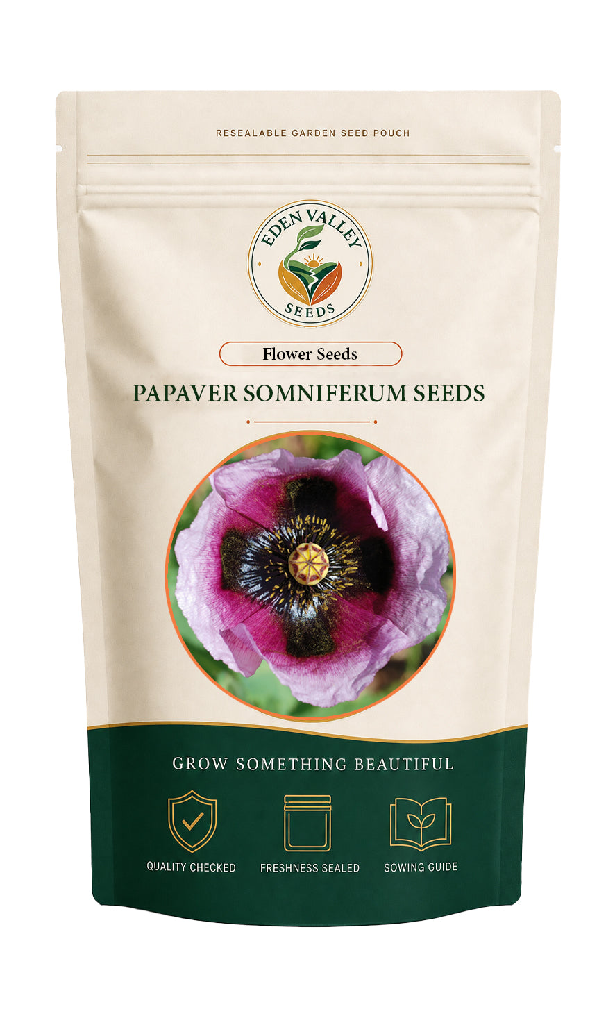 Poppy Papaver Somniferum flowers growing in a garden