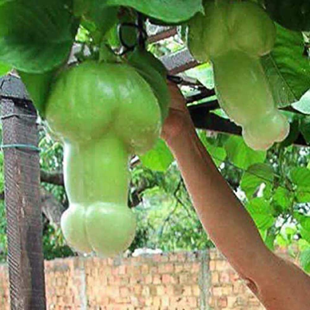 Snake Melon Seeds
