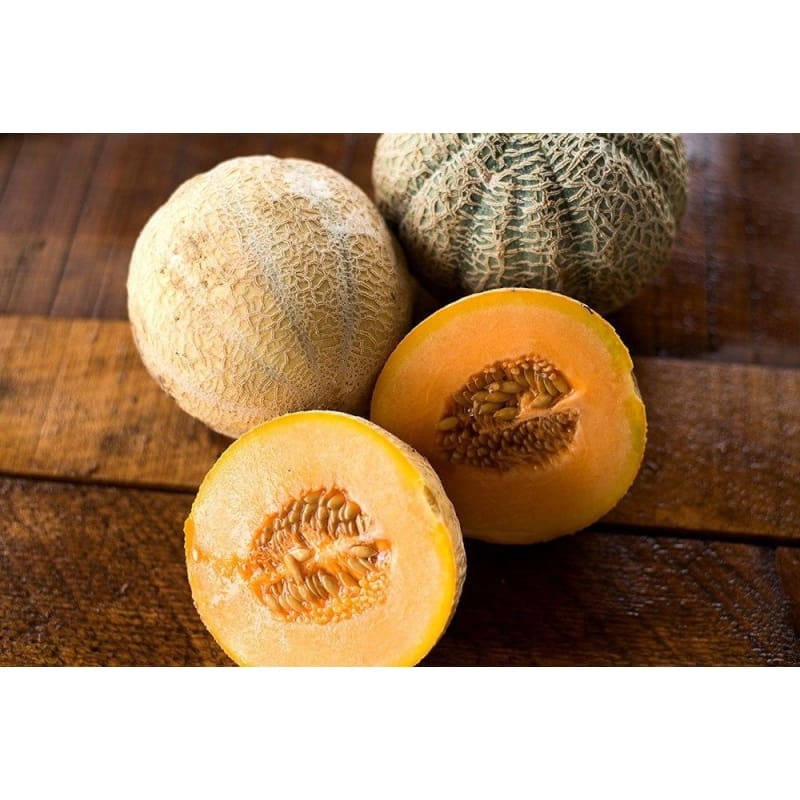 Halona Hybrid Melon Seeds for Planting – Heirloom Non-GMO Garden Seeds