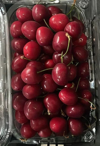 Afghan cherry seeds for planting, Prunus jacquemontii shrub variety