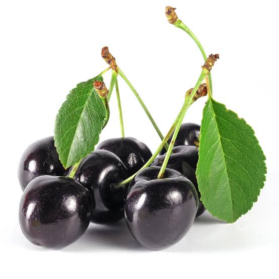 Black cherry fruit seeds for planting – Prunus serotina tree seeds