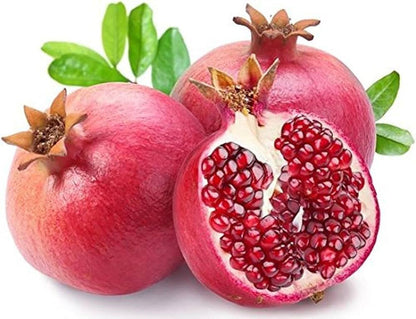 Pomegranate Seeds for Planting Punica granatum – Heirloom Non-GMO Pomegranate Seeds
