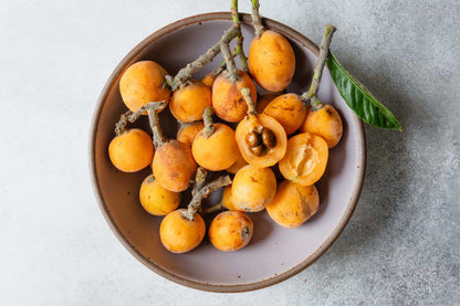 Pupello loquat fruit seeds for planting, featuring fresh loquat fruits with yellow-orange skin, glossy green leaves, and an evergreen fruit tree growing in a home garden.
