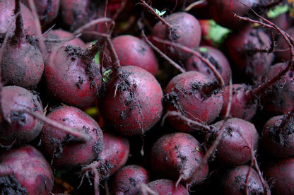 Purple Beet Seeds