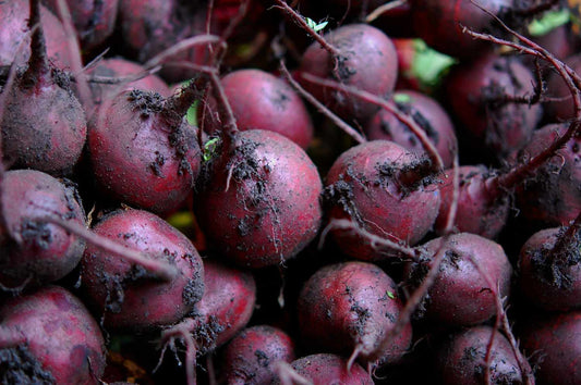 Purple Beet Seeds