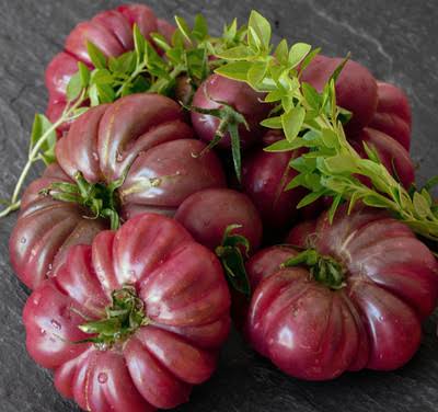 Purple Calabash Tomato Seeds for Planting producing deeply ribbed reddish-purple heirloom tomatoes in home vegetable gardens