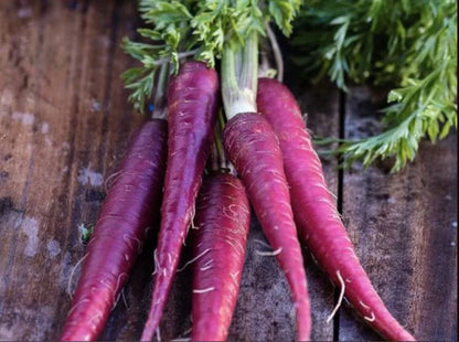 Purple Carrot Seeds for Planting – Heirloom Non-GMO Garden Seeds