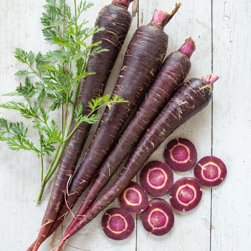 Purple Carrot Seeds