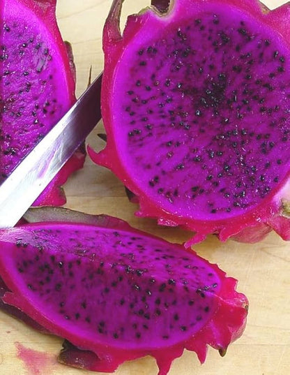 Purple Dragon Fruit Seeds for Planting – Heirloom Non-GMO Garden Seeds