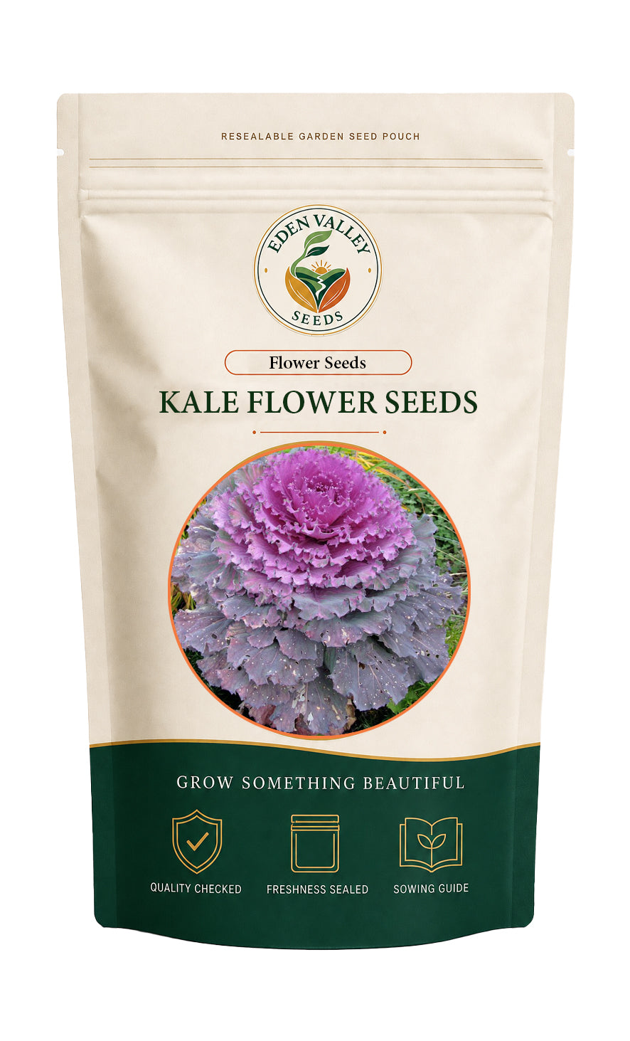 Purple Kale Flower Seeds for planting