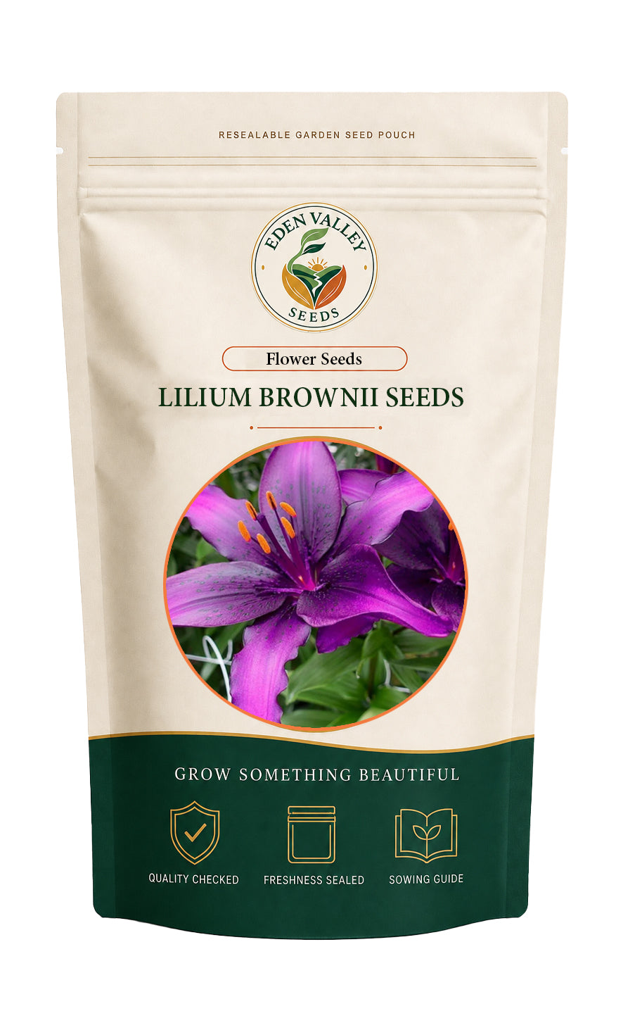 Purple Lilium Brownii Seeds for Planting for growing elegant lily flowers at home