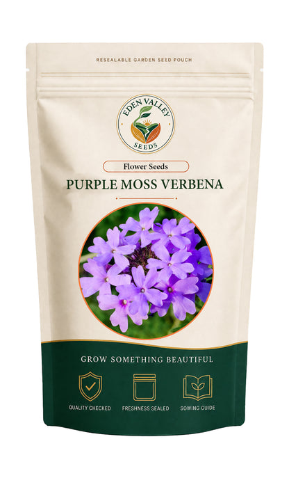Purple Moss Verbena Flower Seeds for home gardens