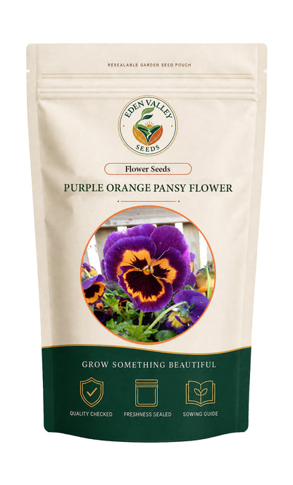 Purple Orange Pansy Flower Seeds for home gardens