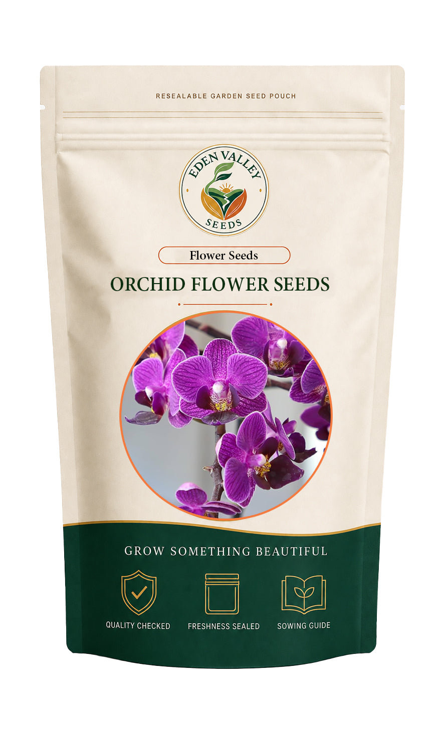 Purple Orchid Flower Seeds for Planting for growing elegant orchids at home