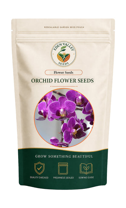 Purple Orchid Flower Seeds for Planting for growing elegant orchids at home