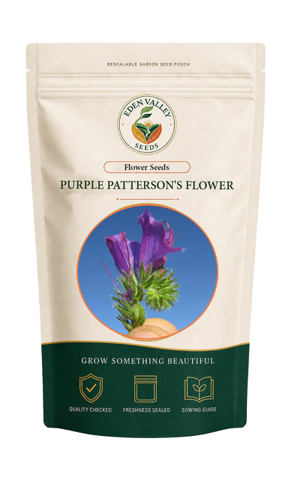Purple Patterson’s Curse flowering plant in a garden