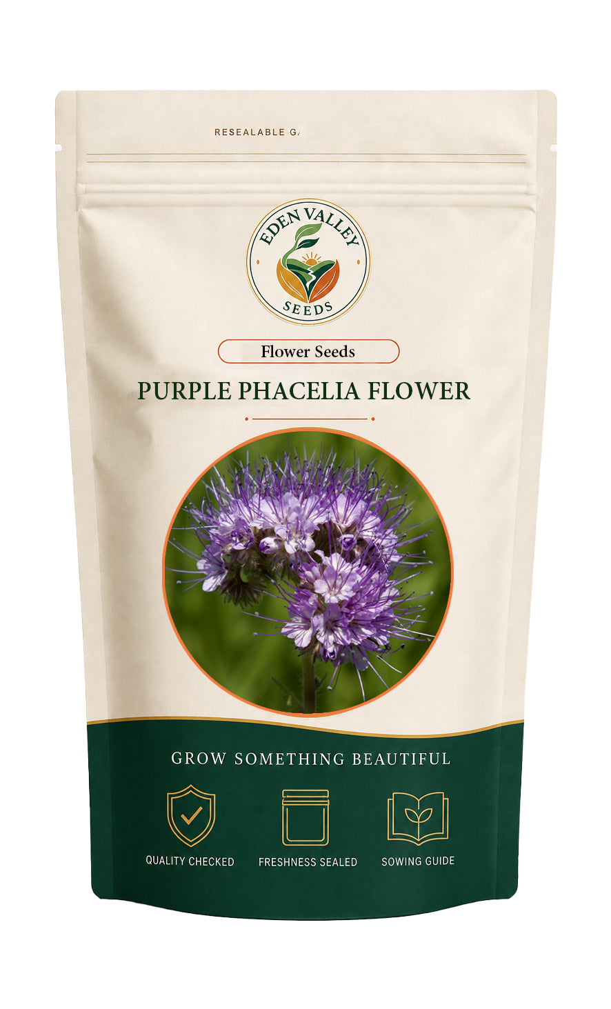 Purple Phacelia Flower for home gardens