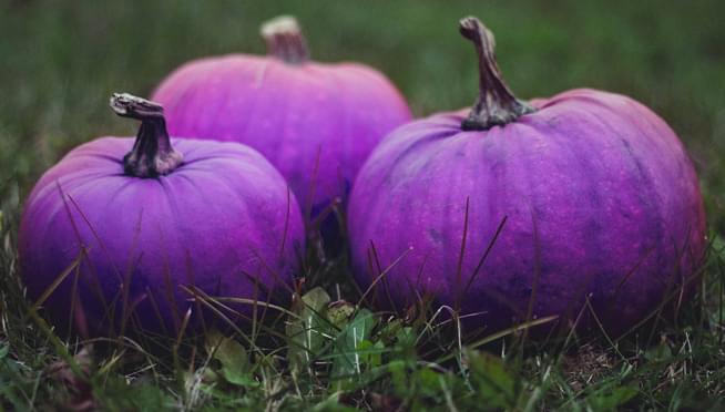 Purple Pumpkin Seeds