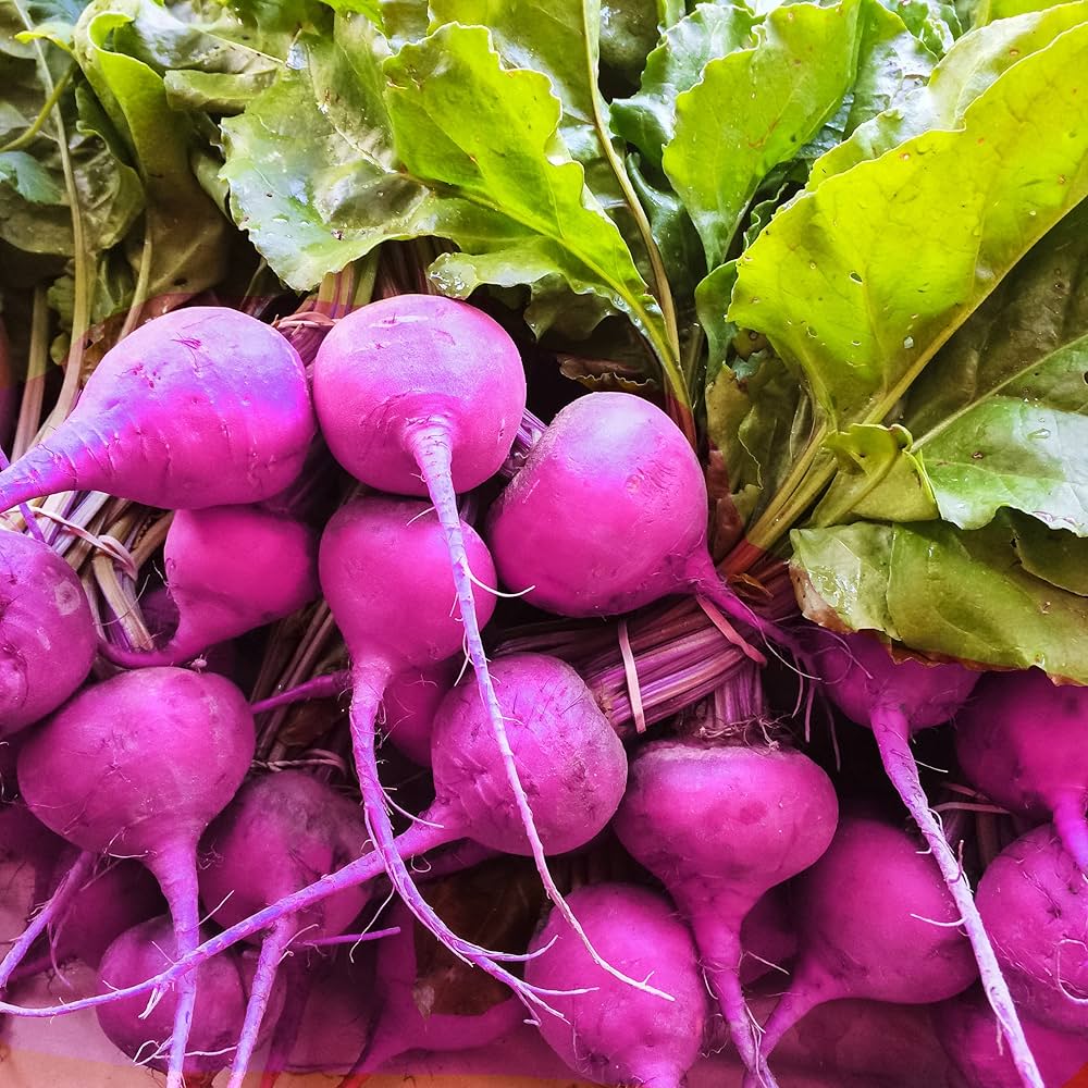 Purple Radish Seeds