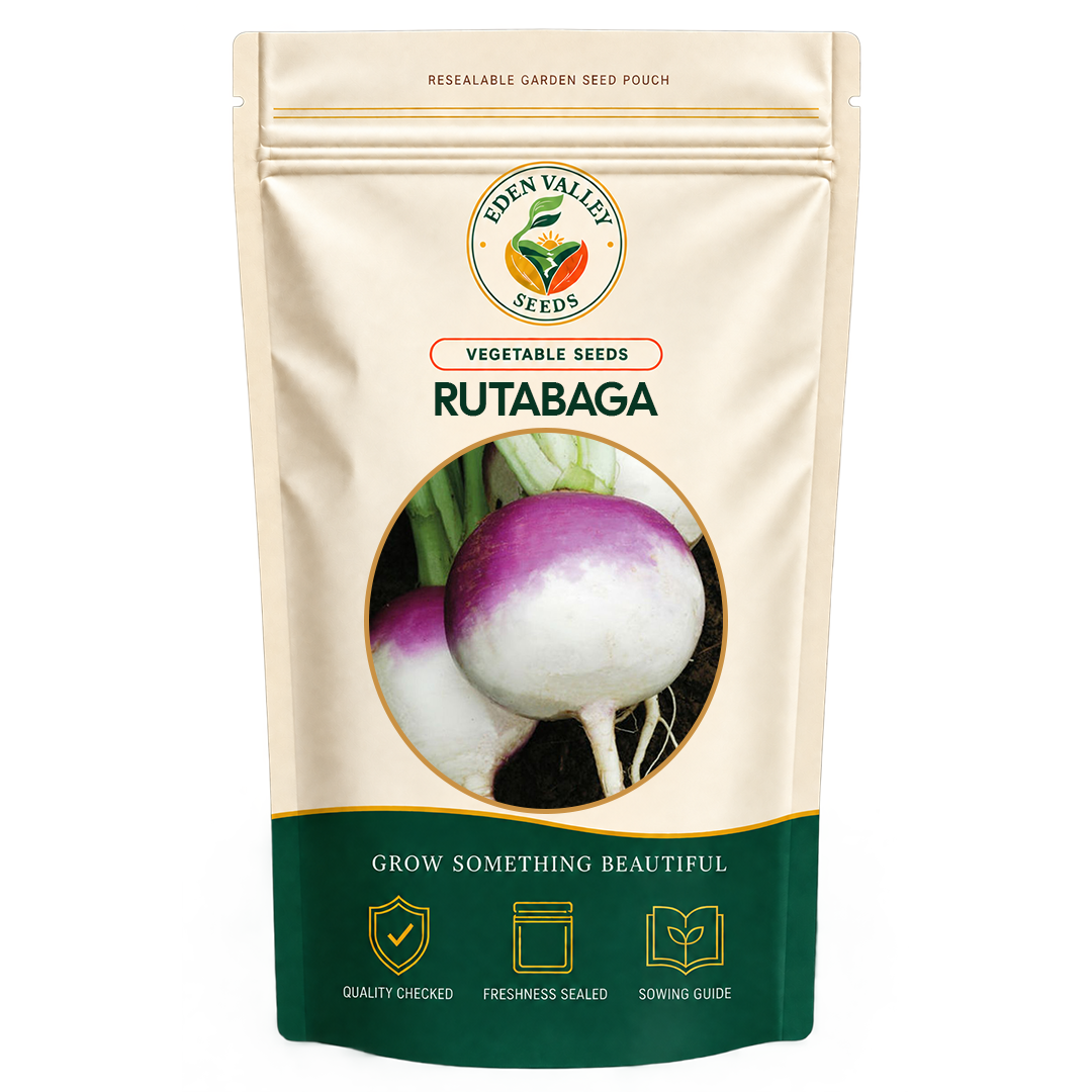 Purple Rutabaga Seeds for planting