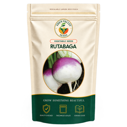 Purple Rutabaga Seeds for planting