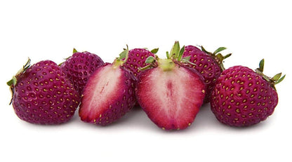 Purple Strawberry Fruit Seeds for Planting – Heirloom Non-GMO Garden Seeds