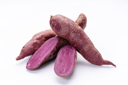 Purple sweet potato vegetable roots growing in a home garden