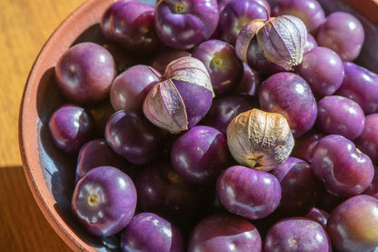 Purple Tomatillo Fruit Seeds for Planting – Heirloom Non-GMO Garden Seeds