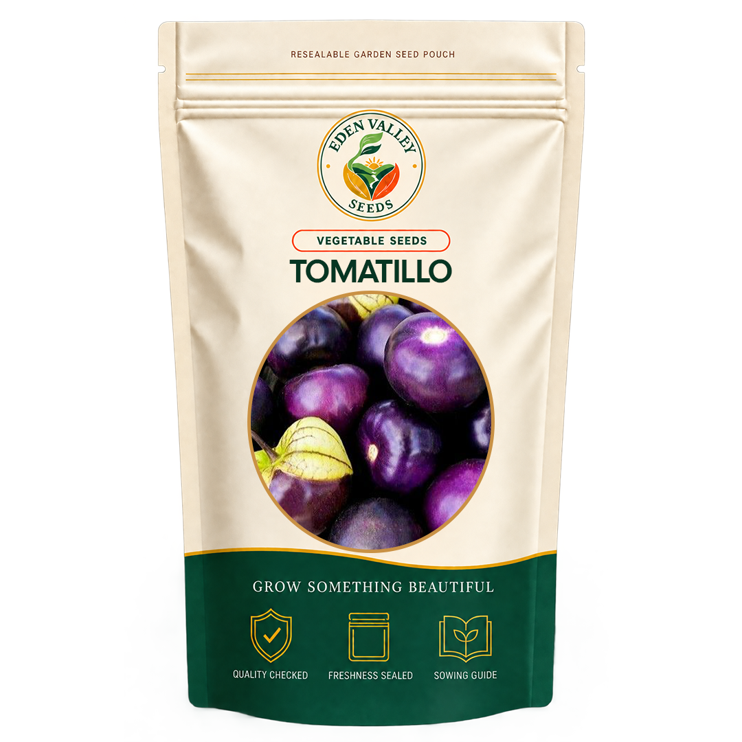Purple Tomatillo Seeds for planting