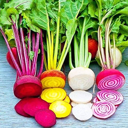 Rainbow Radish Seeds